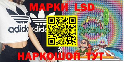 гидра Славгород