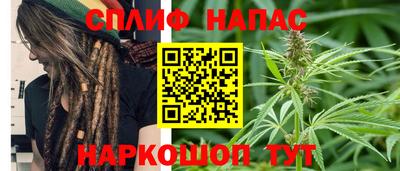 гидра Славгород