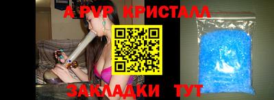 гидра Славгород